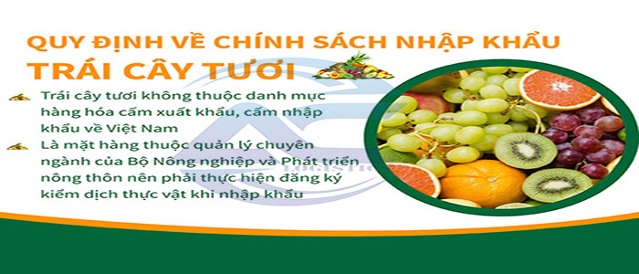 Thu Tuc Nhap Khau Trai Cay Tuoi 700 300