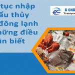 Thu Tuc Nhap Khau Thuc Pham Dong Lanh 500 300